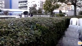 高颜值越韩混血美女自拍福利视频 1V